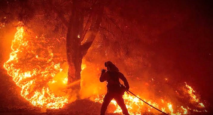 incendios forestales